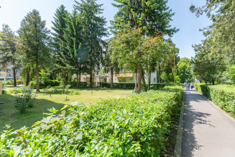 Apartament cu potential, 2 camere, ASTRA