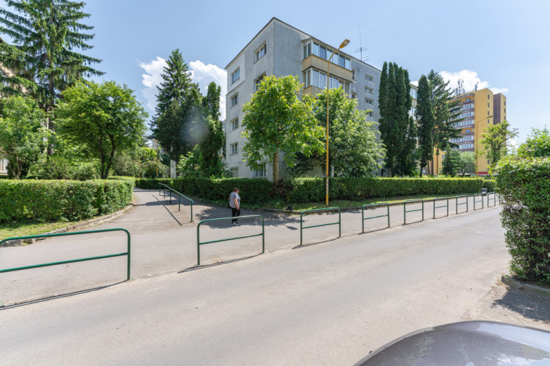 Apartament cu potential, 2 camere, ASTRA