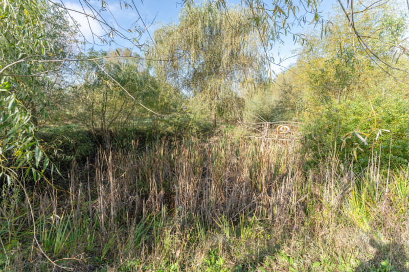 Proprietate rara in Covasna – liniste, spatiu si potential de investitie