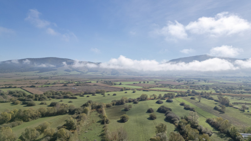 Proprietate rara in Covasna – liniste, spatiu si potential de investitie
