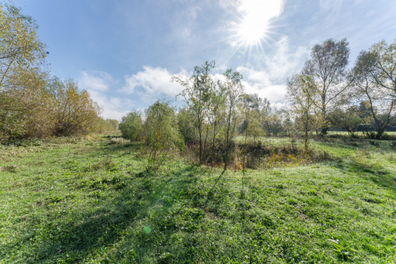 Proprietate rara in Covasna – liniste, spatiu si potential de investitie