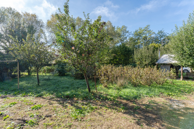 Proprietate rara in Covasna – liniste, spatiu si potential de investitie