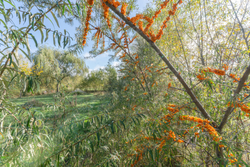 Proprietate rara in Covasna – liniste, spatiu si potential de investitie