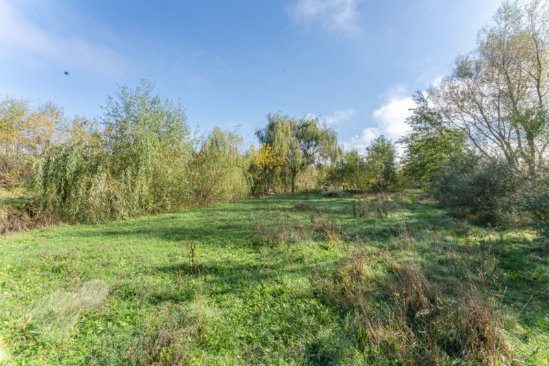 Proprietate rara in Covasna – liniste, spatiu si potential de investitie