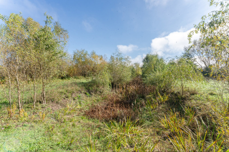 Proprietate rara in Covasna – liniste, spatiu si potential de investitie
