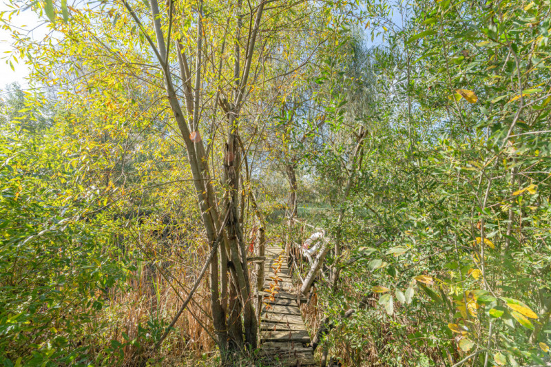 Proprietate rara in Covasna – liniste, spatiu si potential de investitie