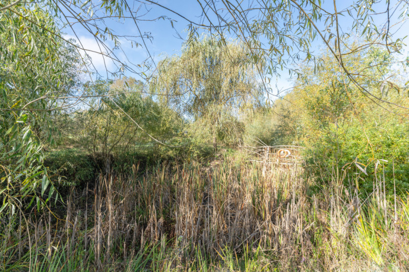 Proprietate rara in Covasna – liniste, spatiu si potential de investitie