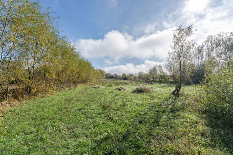 Proprietate rara in Covasna – liniste, spatiu si potential de investitie