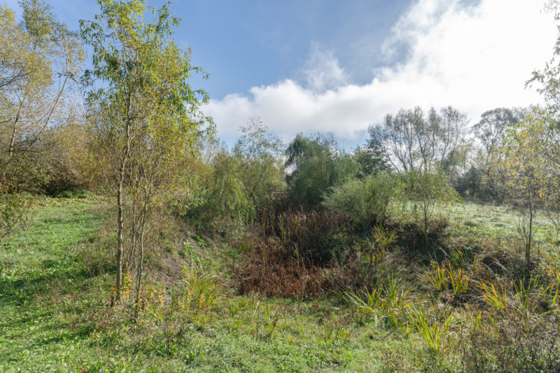 Proprietate rara in Covasna – liniste, spatiu si potential de investitie