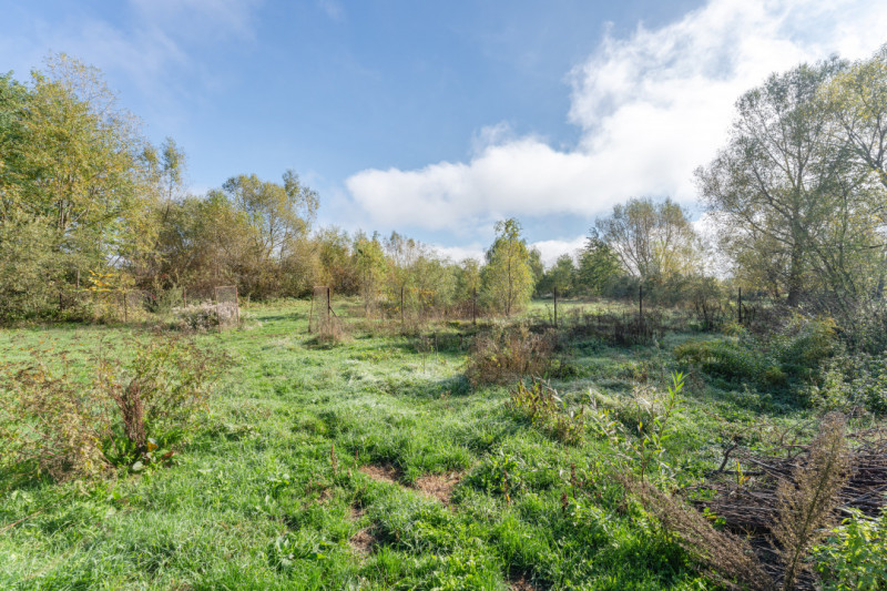Proprietate rara in Covasna – liniste, spatiu si potential de investitie
