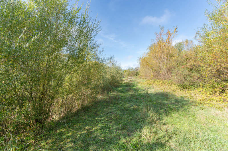 Proprietate rara in Covasna – liniste, spatiu si potential de investitie