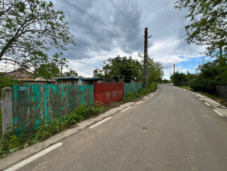 Casă + teren 4430 mp, vie și pomi fructiferi, 22 km de Tecuci
