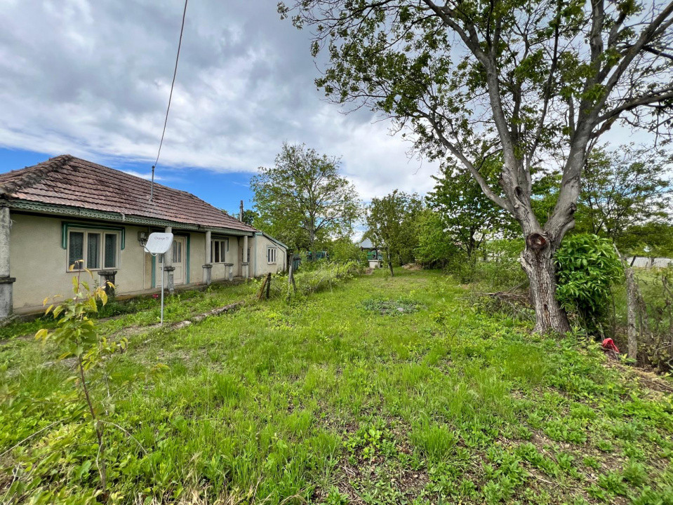 Casă + teren 4430 mp, vie și pomi fructiferi, 22 km de Tecuci