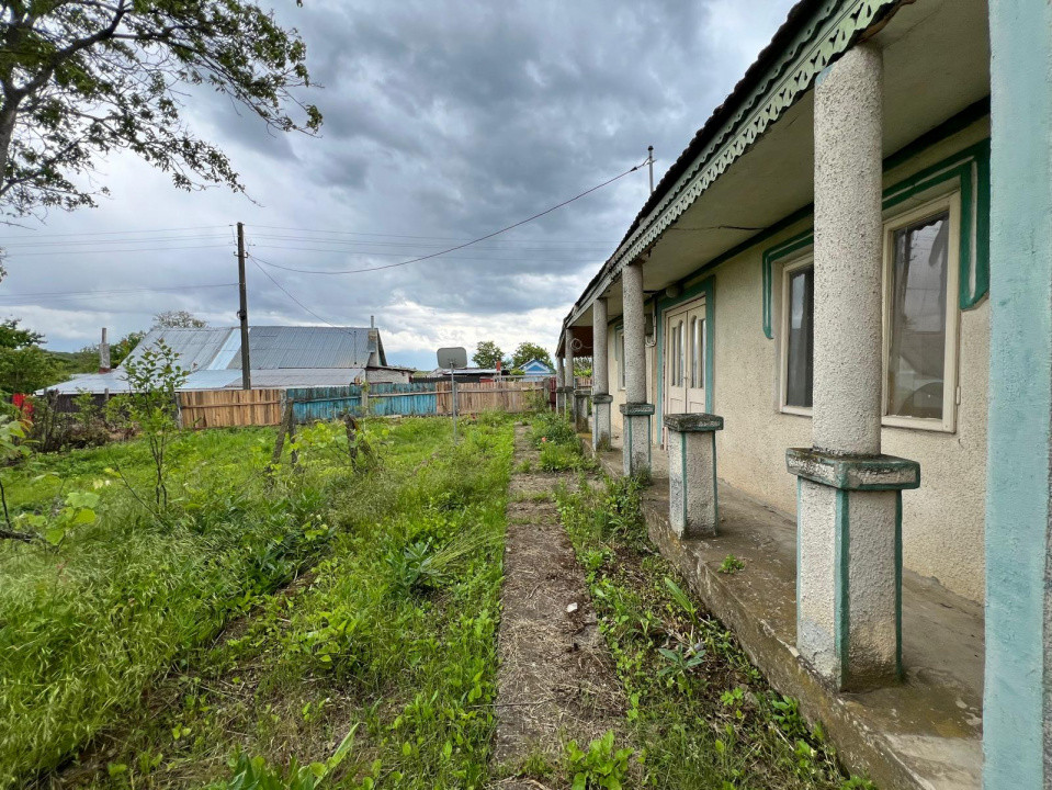 Casă + teren 4430 mp, vie și pomi fructiferi, 22 km de Tecuci