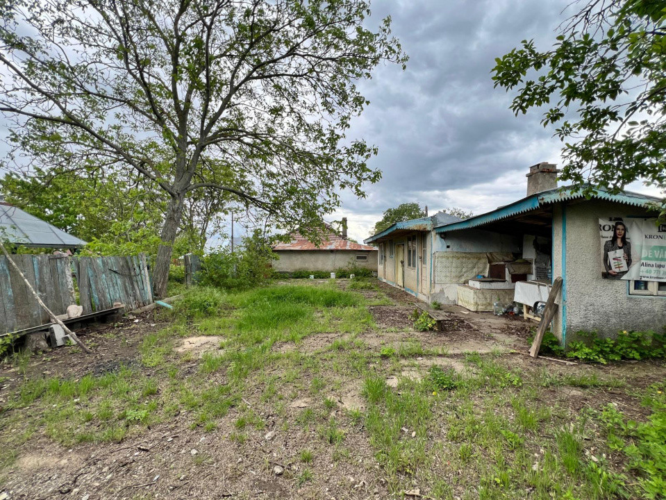 Casă + teren 4430 mp, vie și pomi fructiferi, 22 km de Tecuci