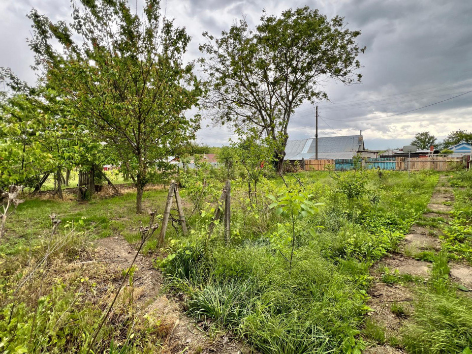 Casă + teren 4430 mp, vie și pomi fructiferi, 22 km de Tecuci