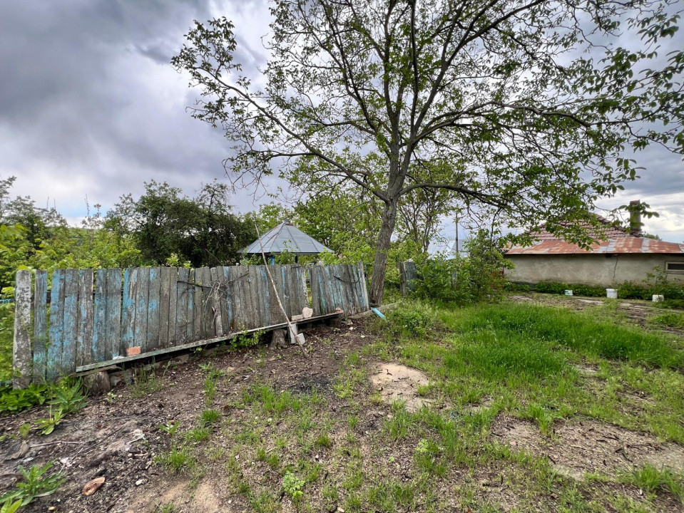 Casă + teren 4430 mp, vie și pomi fructiferi, 22 km de Tecuci