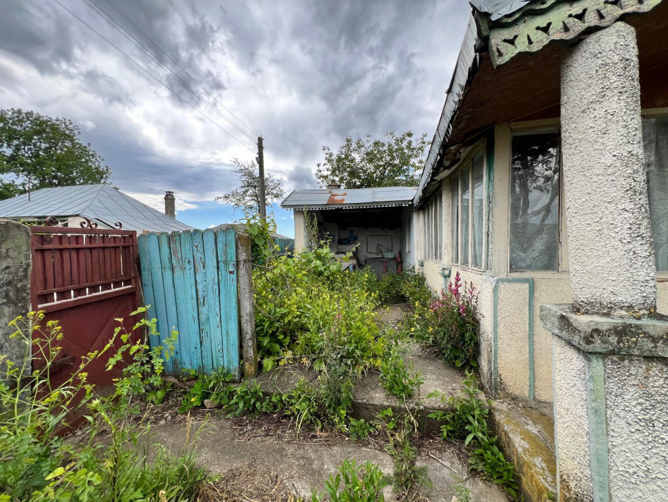 Casă + teren 4430 mp, vie și pomi fructiferi, 22 km de Tecuci