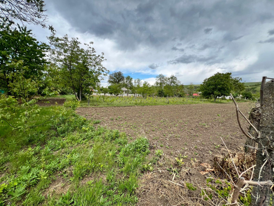 Casă + teren 4430 mp, vie și pomi fructiferi, 22 km de Tecuci