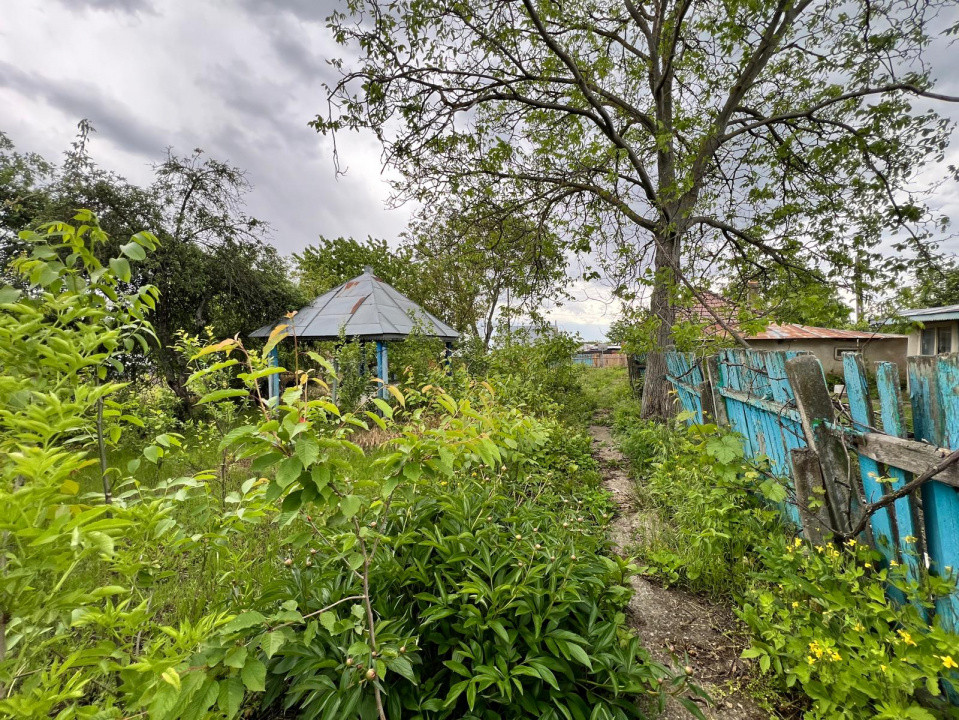 Casă + teren 4430 mp, vie și pomi fructiferi, 22 km de Tecuci