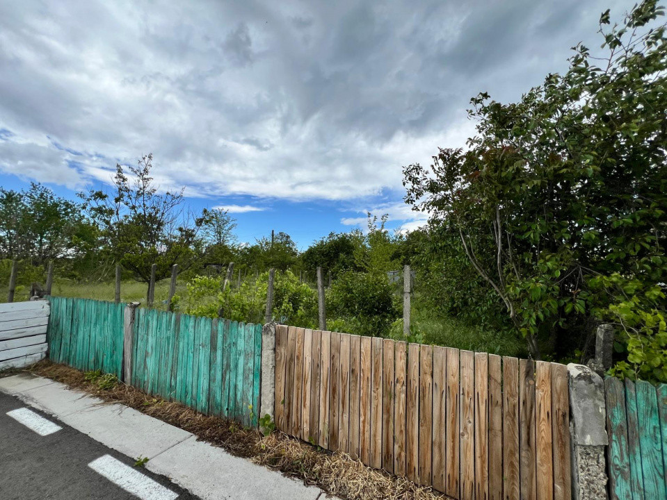 Casă + teren 4430 mp, vie și pomi fructiferi, 22 km de Tecuci