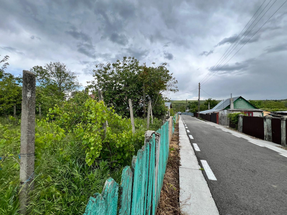 Casă + teren 4430 mp, vie și pomi fructiferi, 22 km de Tecuci