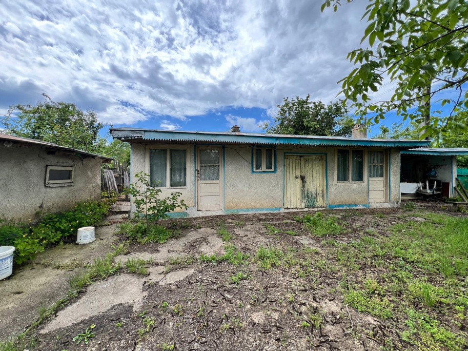 Casă + teren 4430 mp, vie și pomi fructiferi, 22 km de Tecuci