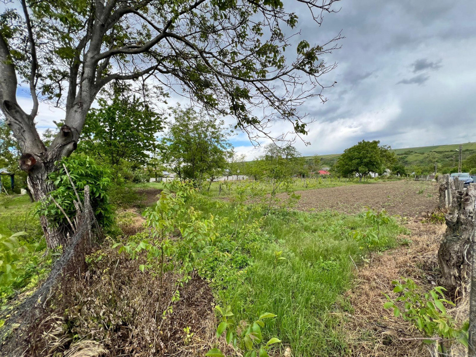 Casă + teren 4430 mp, vie și pomi fructiferi, 22 km de Tecuci