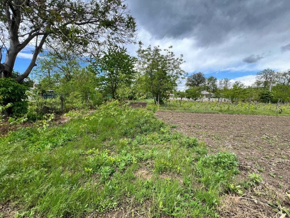 Casă + teren 4430 mp, vie și pomi fructiferi, 22 km de Tecuci