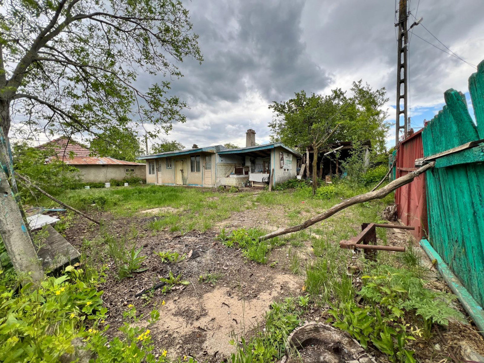 Casă + teren 4430 mp, vie și pomi fructiferi, 22 km de Tecuci