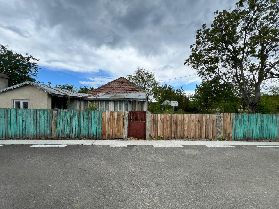 Casă + teren 4430 mp, vie și pomi fructiferi, 22 km de Tecuci