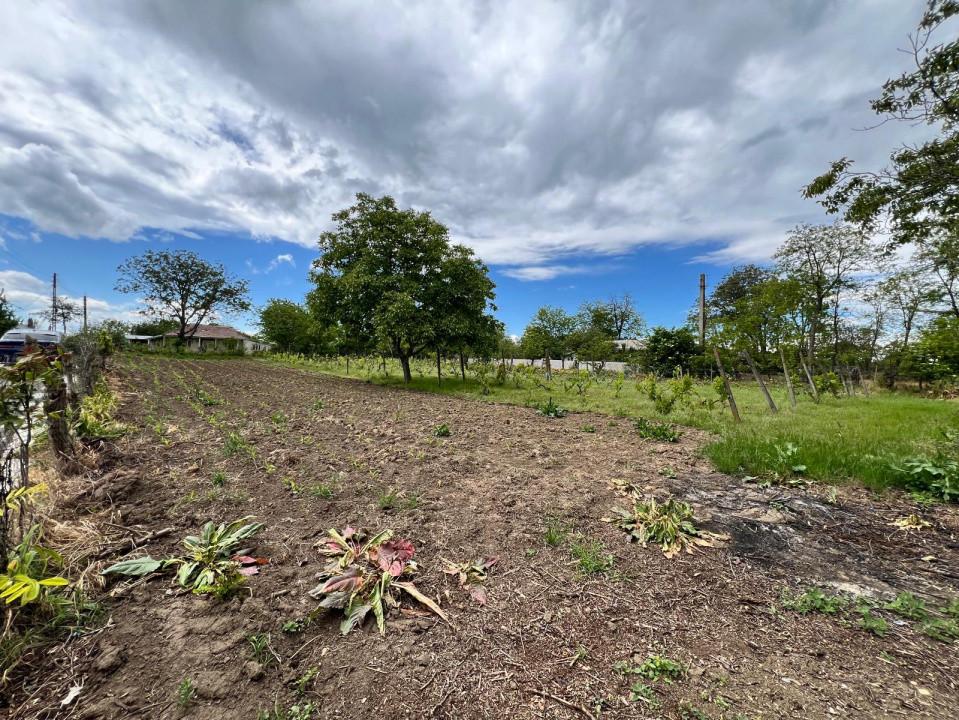 Casă + teren 4430 mp, vie și pomi fructiferi, 22 km de Tecuci