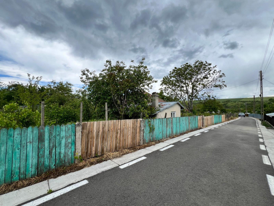 Casă + teren 4430 mp, vie și pomi fructiferi, 22 km de Tecuci