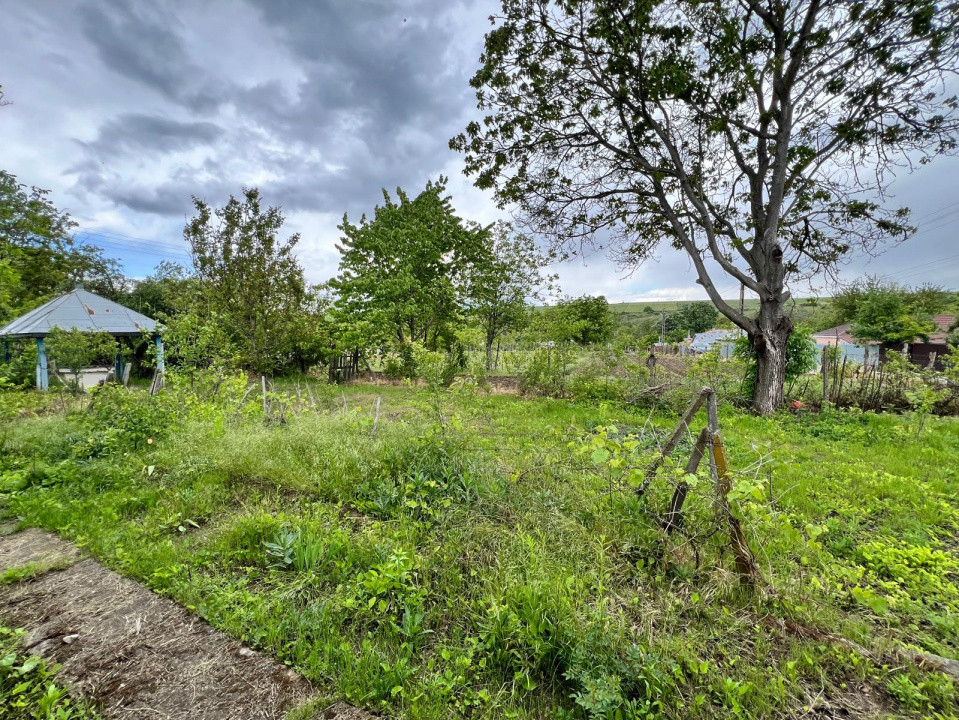 Casă + teren 4430 mp, vie și pomi fructiferi, 22 km de Tecuci