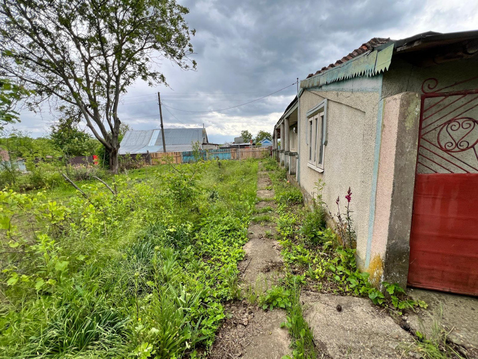 Casă + teren 4430 mp, vie și pomi fructiferi, 22 km de Tecuci