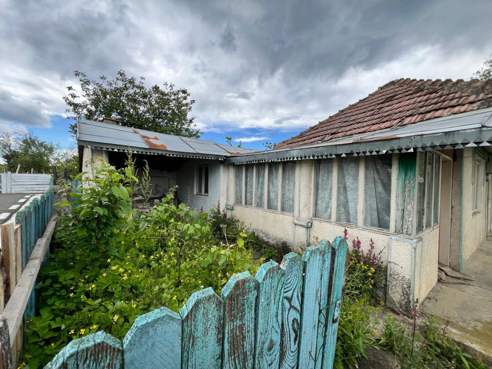 Casă + teren 4430 mp, vie și pomi fructiferi, 22 km de Tecuci