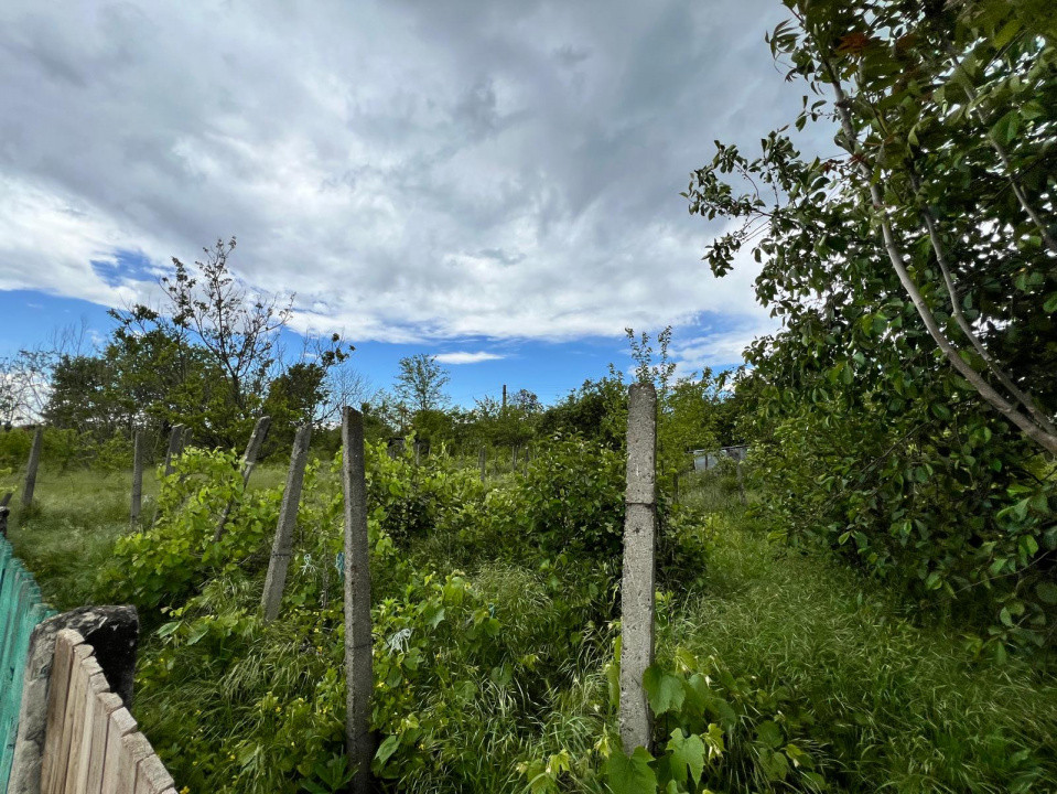 Casă + teren 4430 mp, vie și pomi fructiferi, 22 km de Tecuci