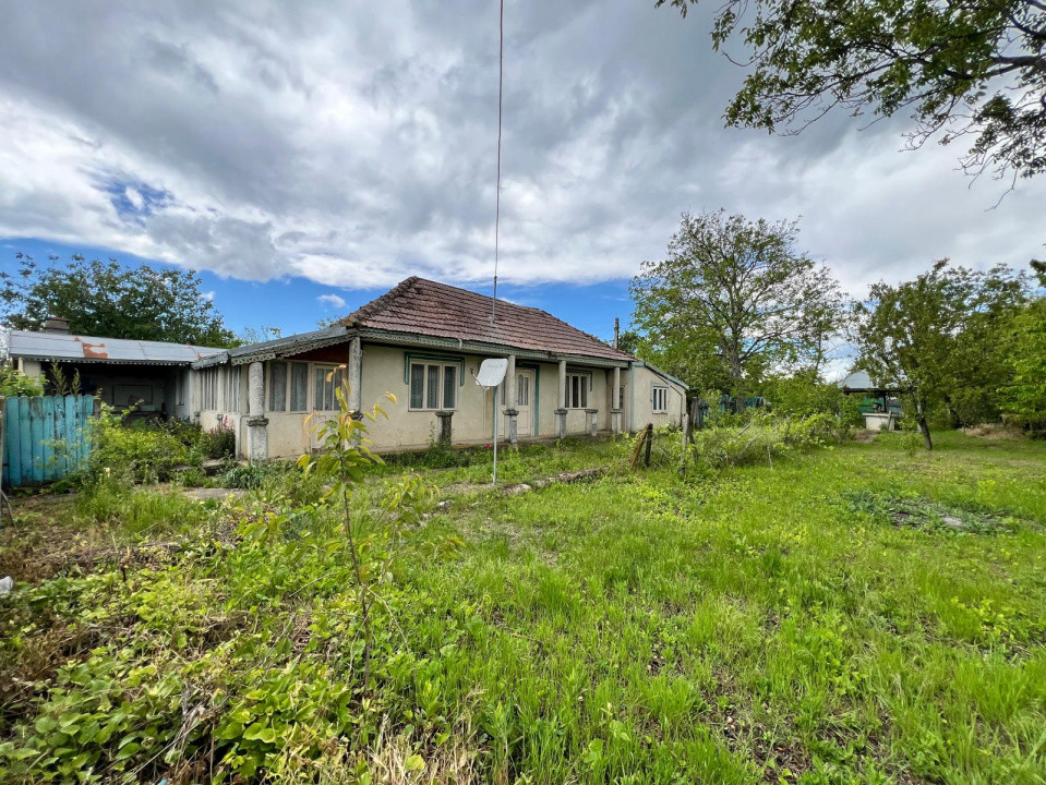 Casă + teren 4430 mp, vie și pomi fructiferi, 22 km de Tecuci