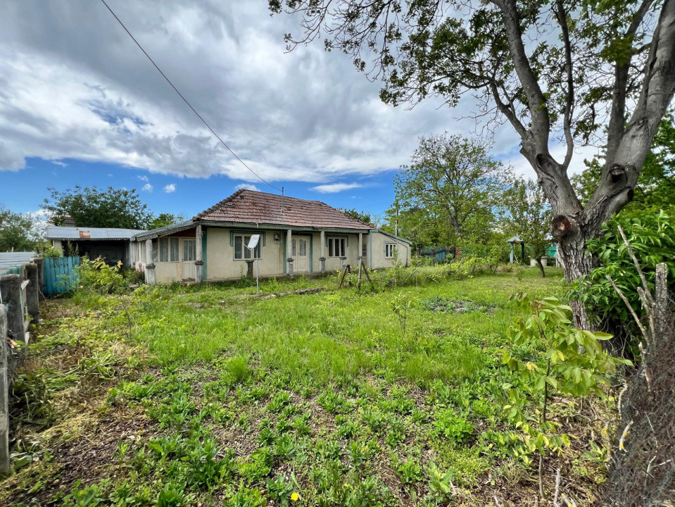 Casă + teren 4430 mp, vie și pomi fructiferi, 22 km de Tecuci