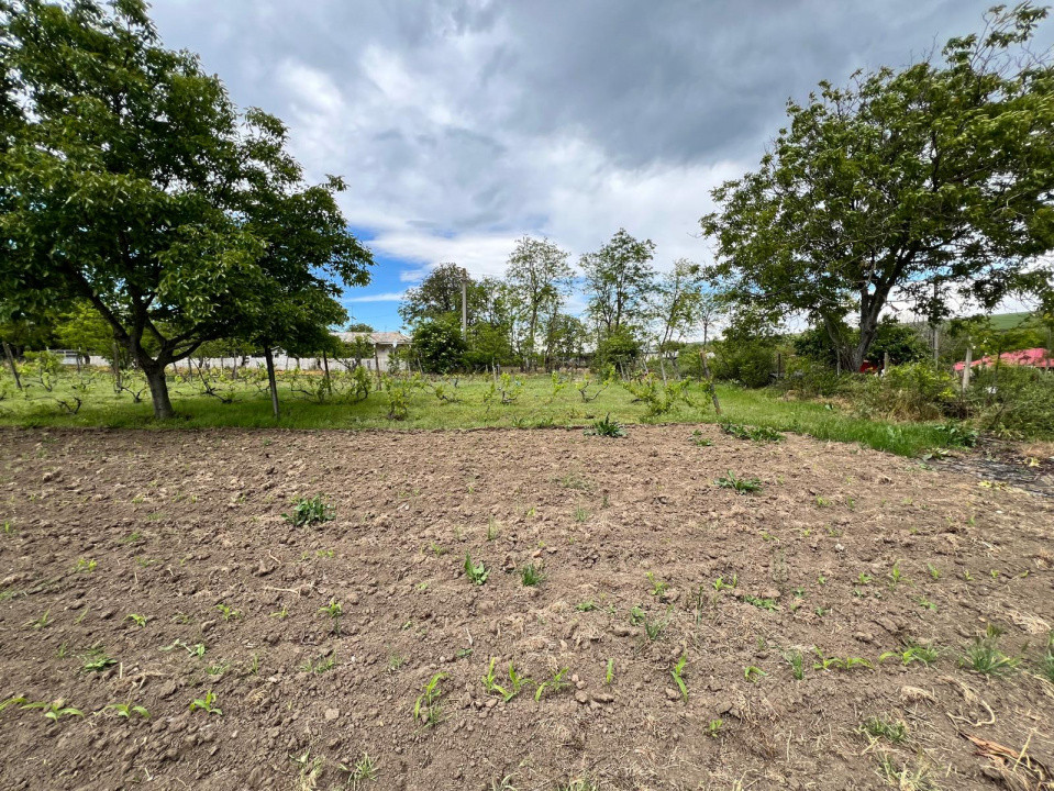 Casă + teren 4430 mp, vie și pomi fructiferi, 22 km de Tecuci