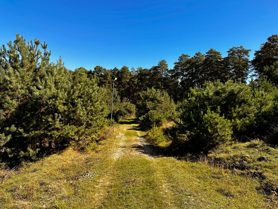 Refugiu la liziera padurii — teren ideal pentru casuta de vacanta