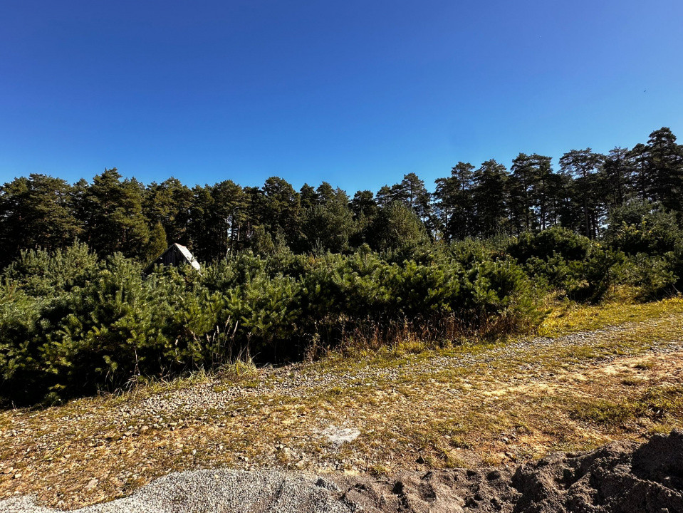 Refugiu la liziera padurii — teren ideal pentru casuta de vacanta