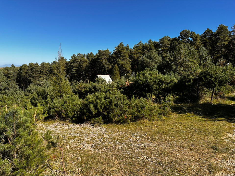 Teren intravilan, 600mp,  BONUS: casuta metalica