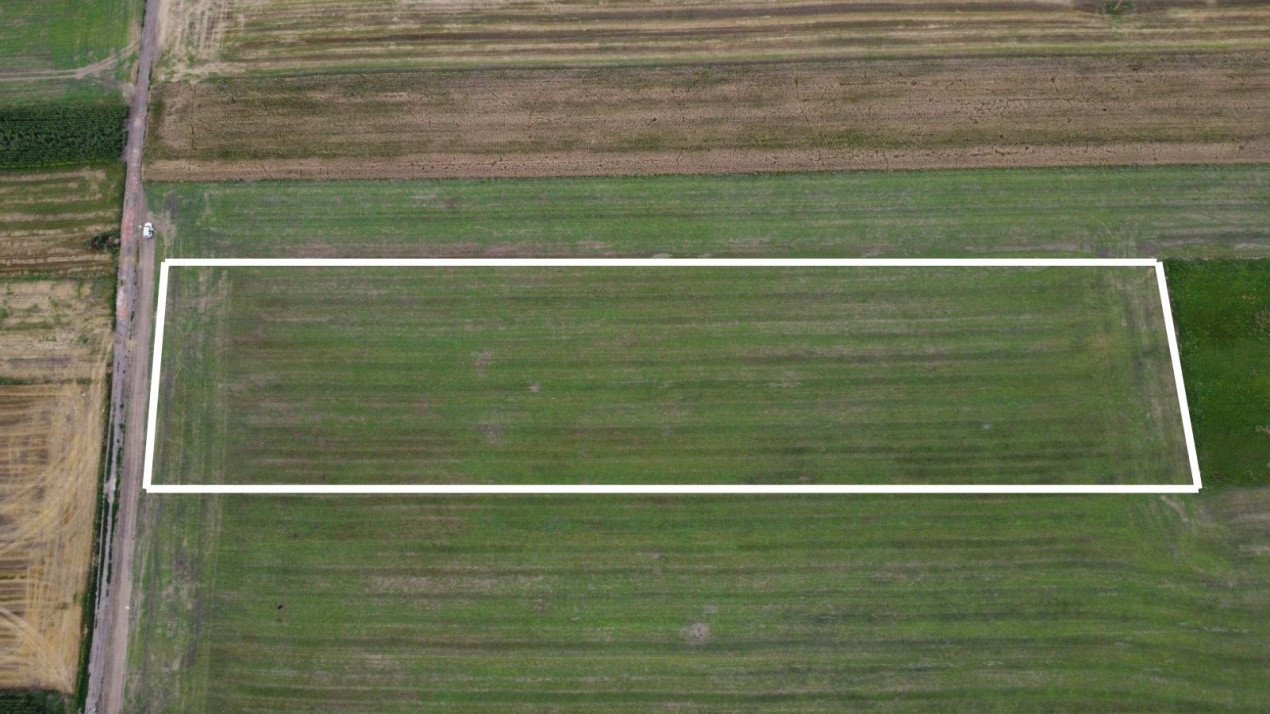 Teren industrial  Codlea – intravilan, ideal hala/depozit/ logistica