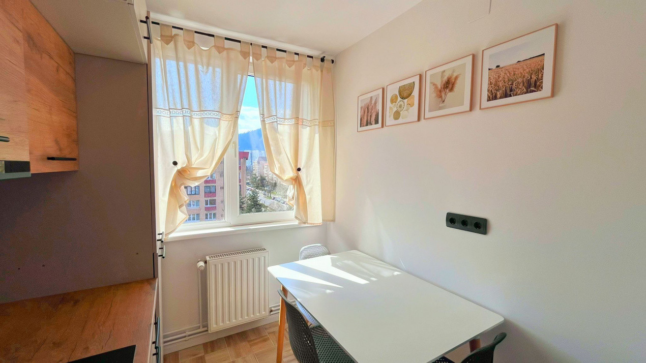 Ap.2 camere Bd. Victoriei | Vedere panoramica Tampa | Insorit