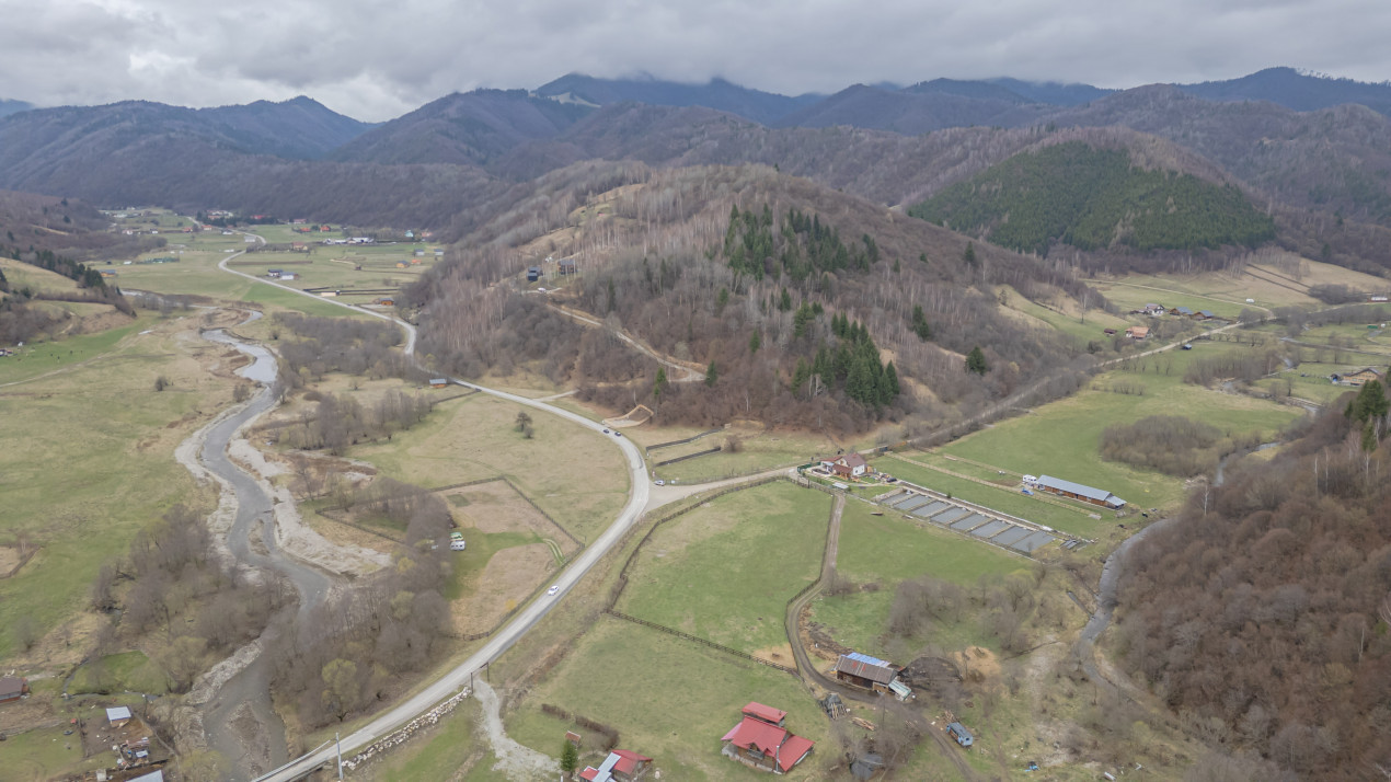 Teren intravilan, 6.900 mp, construibil – Plaiul Foii, Zărnești