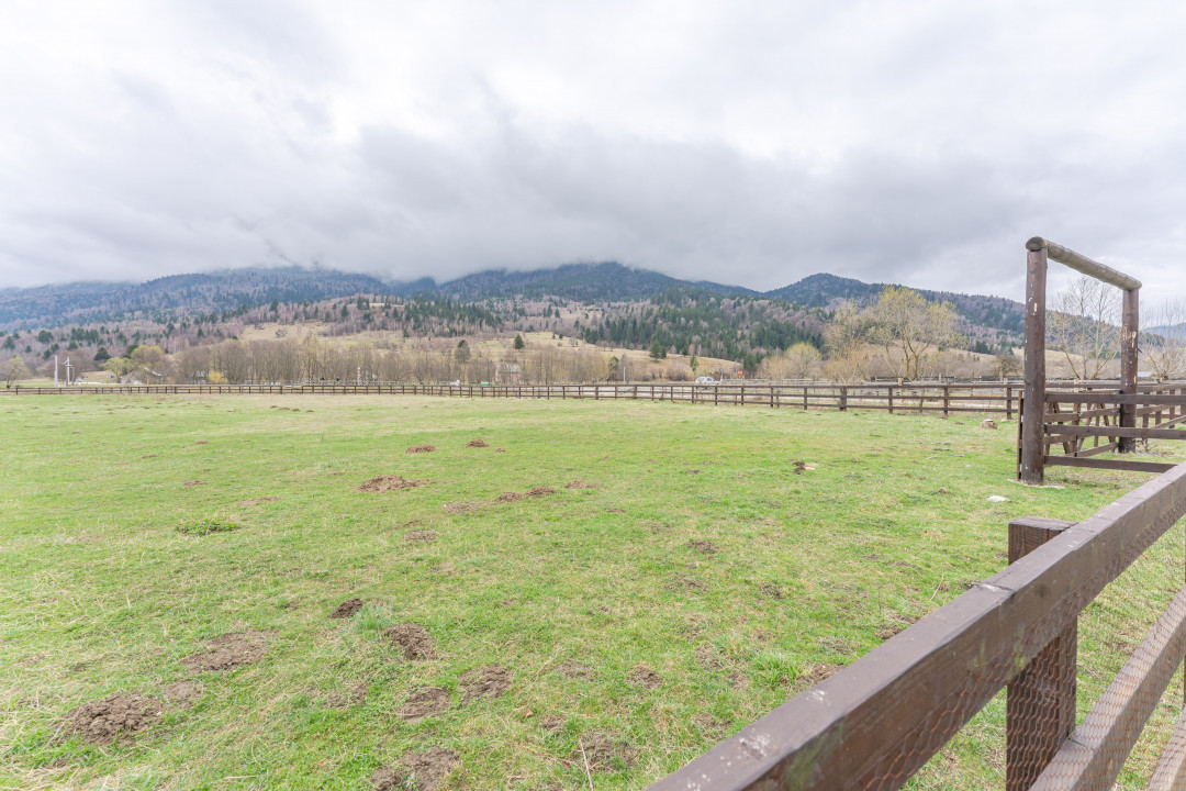 Teren intravilan, 6.900 mp, construibil – Plaiul Foii, Zărnești