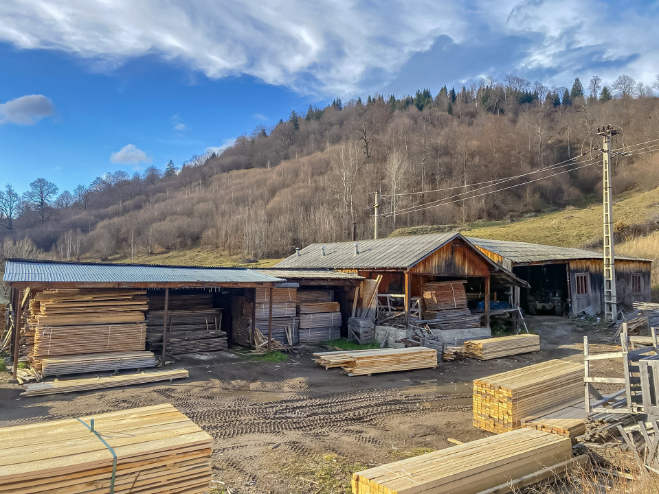 Vânzare fabrică producție lemn Tulghes, utilaje + uscător incluse Comision 0%