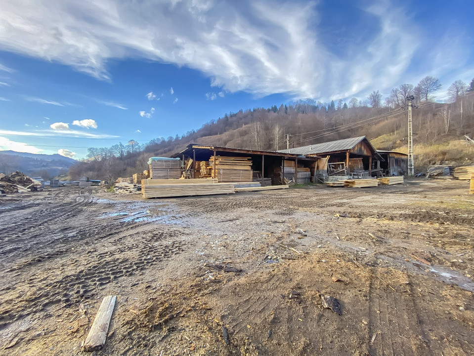 Vânzare fabrică producție lemn Tulghes, utilaje + uscător incluse Comision 0%