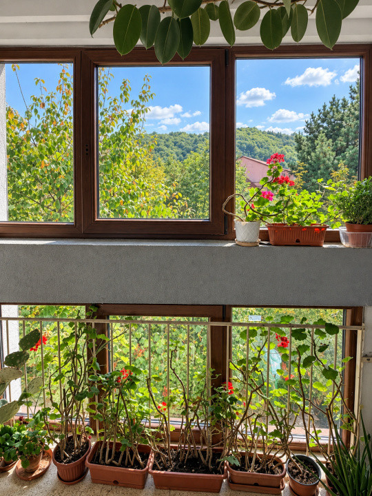 Apartament insorit,  cu mult potential, langa AFI mall/Tribunal/Directia Fiscala